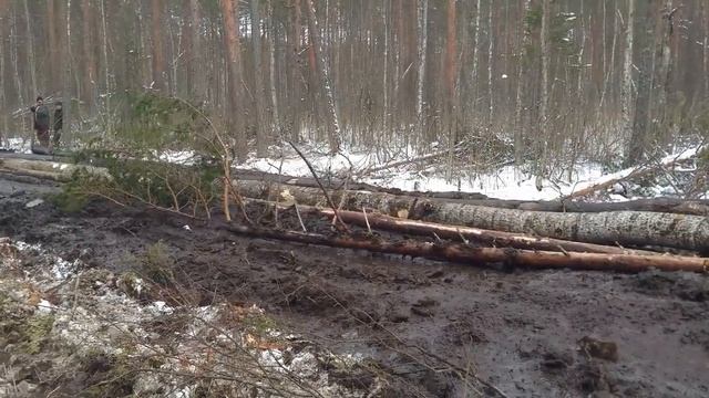 Заготовка леса трактором ТДТ-55 в сложных условиях