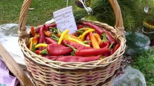 Богородская ярмарка 2018.