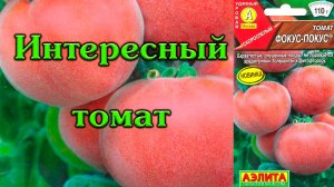 Томат Фокус покус 26.10.2022