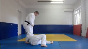 Техника judo простейшие броски