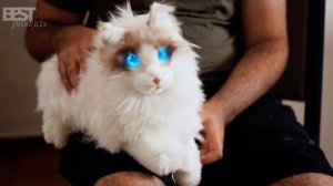 MetaCat Robotic Cat - Unboxing and Review