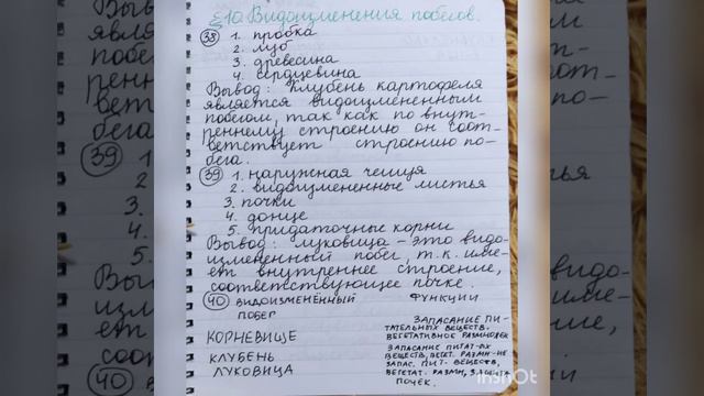 Биология.6 класс.Рабочая тетрадь.Пасечник.10