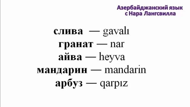 Азербайджанский язык с нуля самостоятельно  / Фрукты / Meyvələr /Azərbaycan dili