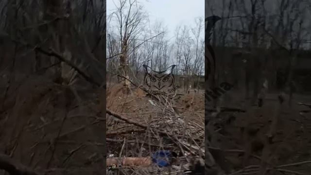 Уничтоженные украинские грузовики M1083A1P2 MTV, поставленные из США смотреть онлайн