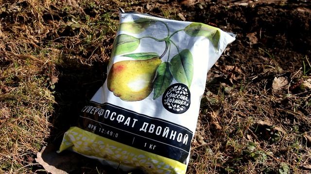 Как  и чем накормить плодовое дерево осенью, если почва в саду задернена
