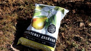 Как и чем накормить плодовое дерево осенью, если почва в саду задернена