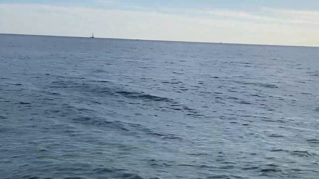 15.10.2023. Погода в Сочи в октябре. Смотри на Чёрное море каждый день. смотреть онлайн