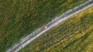 В мире, где ты и я!