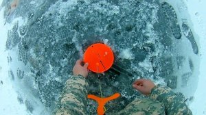 Зимняя рыбалка на форель.Тест,какая леска для форели лучше.Монофильная или флюрокарбоновая.