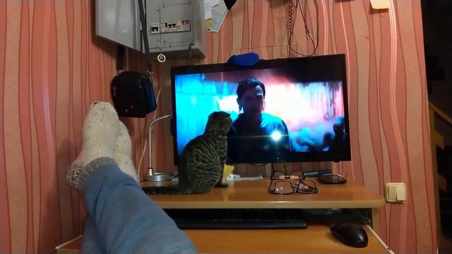 Кто сказал что человек самый разумный? смотреть онлайн