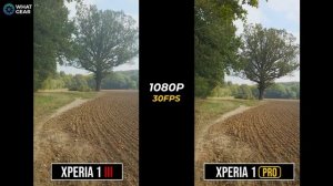 Xperia 1iii VS Xperia PRO - Camera Comparison