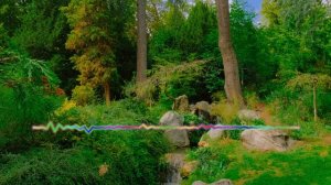 Гидаят Магомедова - Чарх бек! дурхъати 2024