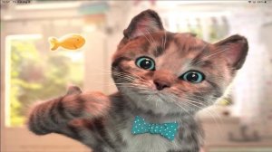 FUN LITTLE KITTEN ADVENTURE - Little Kitten Adventures - Play Fun Cute Kitten Pet Care Learning #23