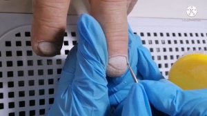 Маникюр для грызуна со стажем / Мужской маникюр ??