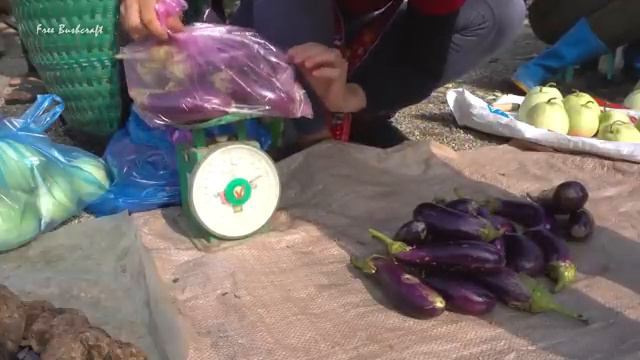 Harvest Dragon Fruit Go To Market Sell, Weeding the banana garden | New Free Bushcraft смотреть онлайн