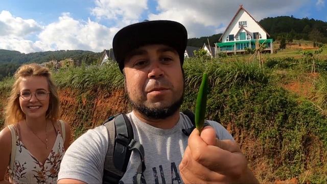 Вьетнам. Настоящие Вьетнамские Альпы. Европейский городок Wonder Dalat. Лайкни Мир. Далат.