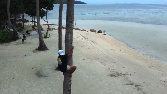 JAVA'S TROPICAL GETAWAY | 27 Islands | KARIMUNJAWA with @fahripedro4439 смотреть онлайн