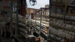 лесовоз sisu vs лесовоз маз / #timbercarrier /
