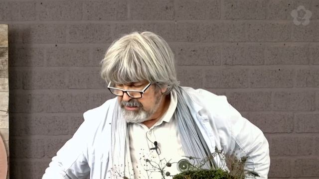 Flower Arrangement in Metal Frame with Bound Elements by Gregor Lersch