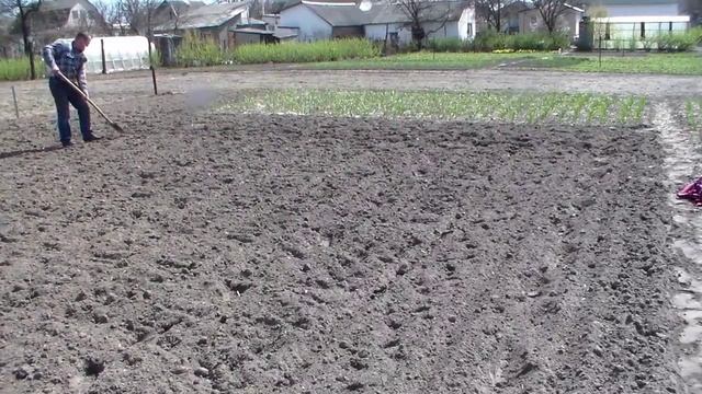 Посадка картофеля с использованием маркера смотреть онлайн