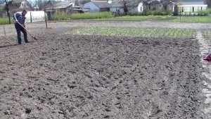 Посадка картофеля с использованием маркера