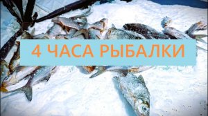 Что мы наловили в январские морозы