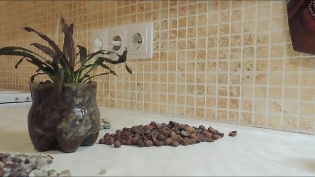 Аквариумные растения в горшочках.