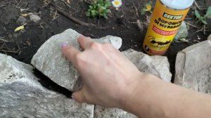 ЛУЧШEE СРЕДСТВО от муравьев, плодожорки и слизней!