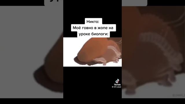 Хахааххаха@ смотреть онлайн