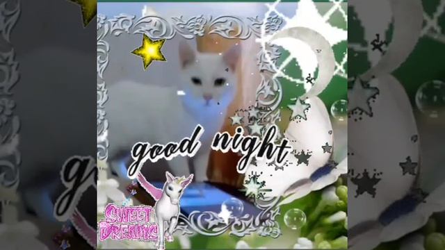 открытка спокойной ночи 🌛#котики#открыткаспокойнойночи#кот#животные