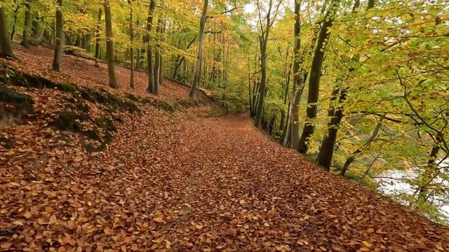 Вот почему говорят, Гость в первый день — золото,а после и гроша не стоит. смотреть онлайн