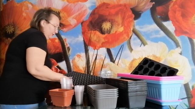 Выбираем контейнеры под рассаду овощных культур - от Натальи Ромашки смотреть онлайн