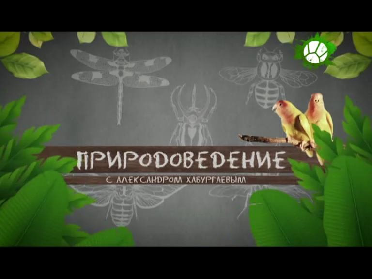 Природоведение. Зачем животным яды?