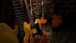 Lech Talar - tube screamer ts808 overdrive pro vs twinote tube overdrive