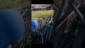 Заброшенная дача.. Это что-то новенькое!) Там есть на что посмотреть ~)