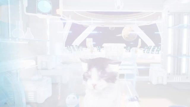 Kitten'd - Release Trailer смотреть онлайн