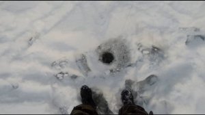 Результативная ловля щуки на балансир.