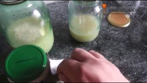 Выращивание спиртовых дрожжей в домашних условиях