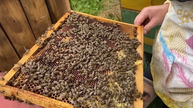 100% способ замены матки. Такое вам никто не скажет !!! смотреть онлайн