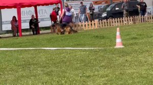 ПП 318  Shabardhof ZAKIRIYA / Моно немецких овчарок ПК БРОННИЦЫ 10.08.2024