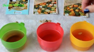 ДЕКОРАТИВНАЯ ТЫКВА, как вырастить тыкву