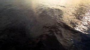 Челябинская обл. озеро Синара