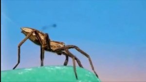 ТОП-10 Самых опасных животных мира.