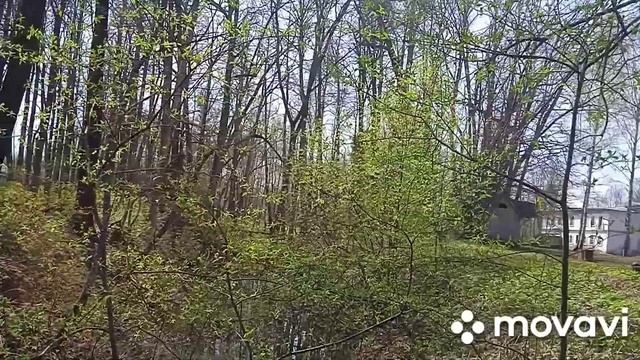 Путешествия по Нижегородской области - Галибиха (Усадьба Ливашёвых) и святое озеро Светлояр!