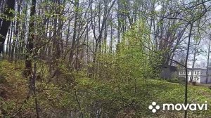 Путешествия по Нижегородской области - Галибиха (Усадьба Ливашёвых) и святое озеро Светлояр!