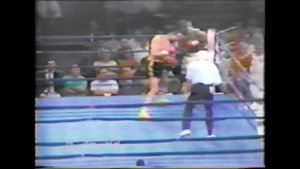 Бокс | Виктор Потехин | Бой в США 1992г