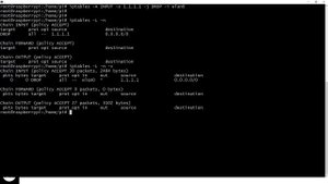 iptables