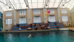 Кисловодск. Шокирующие танцы с дельфинами. Необычные трюки дельфинов, которые вас поразят.