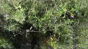 ХОТЕЛ НАКОПАТЬ МНОГО МЕТАЛЛА, НО НЕ УДАЛОСЬ! Коп металлолома