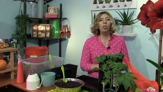 Дачные сезоны с Мариной Рыкалиной. Повышаем плодородие почвы. смотреть онлайн